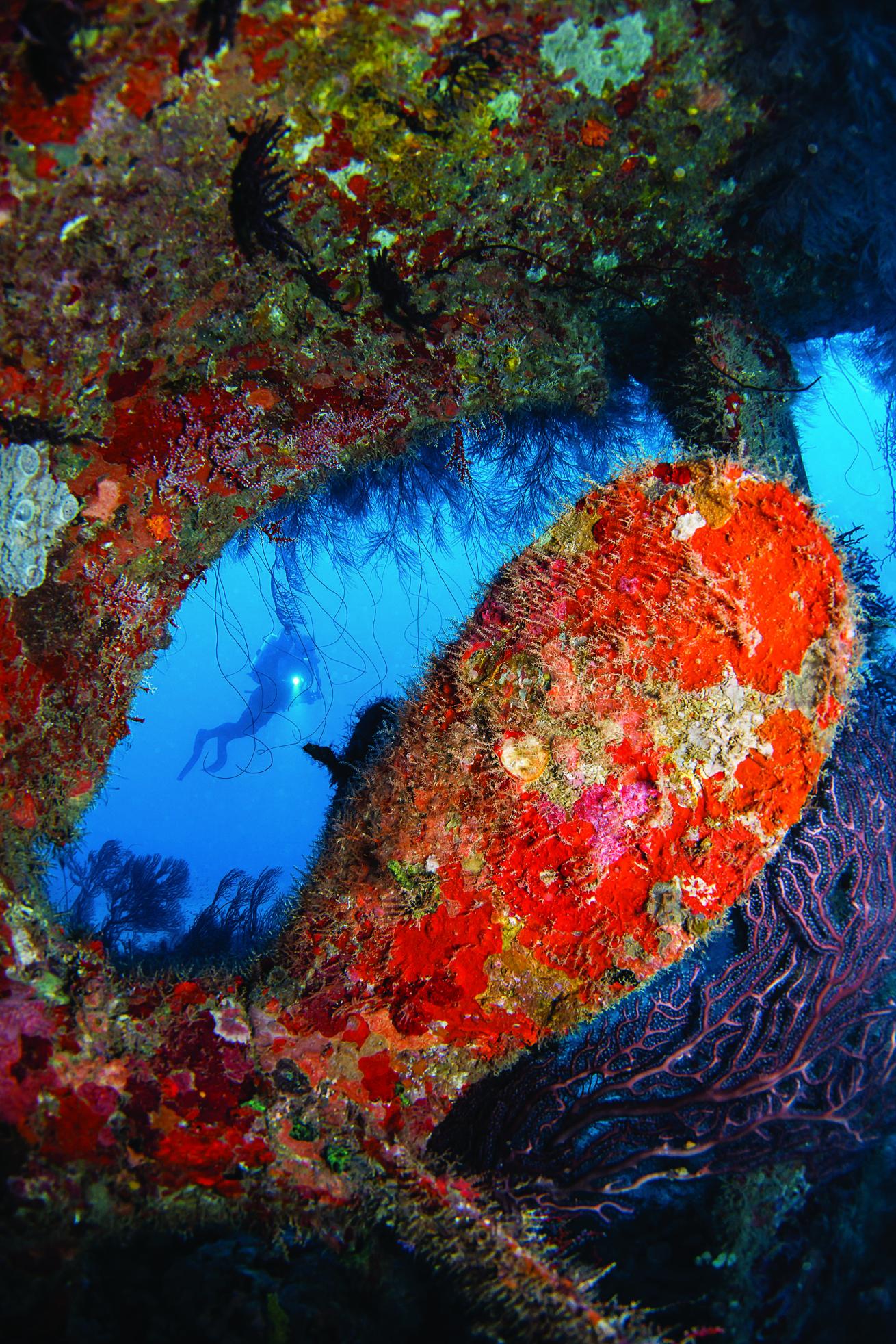 scuba diving reefs Grenada
