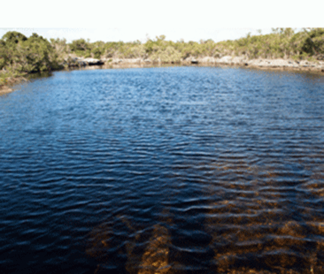 cave diving bahamas