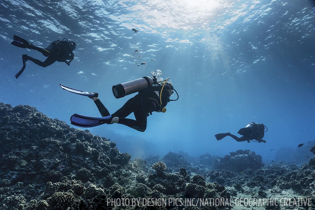 hawaii scuba diving