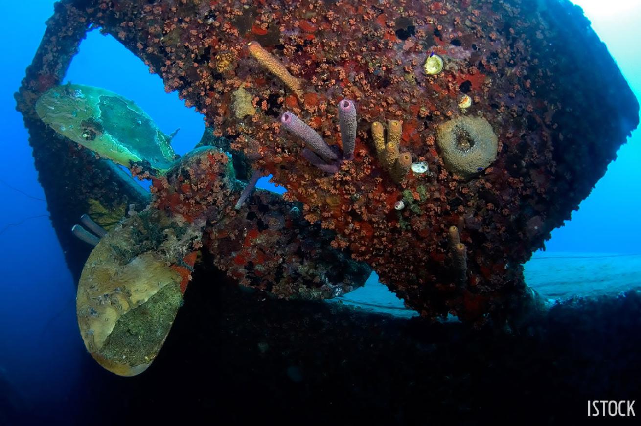 Scuba diving the Hilma Hooker shipwreck in Bonaire