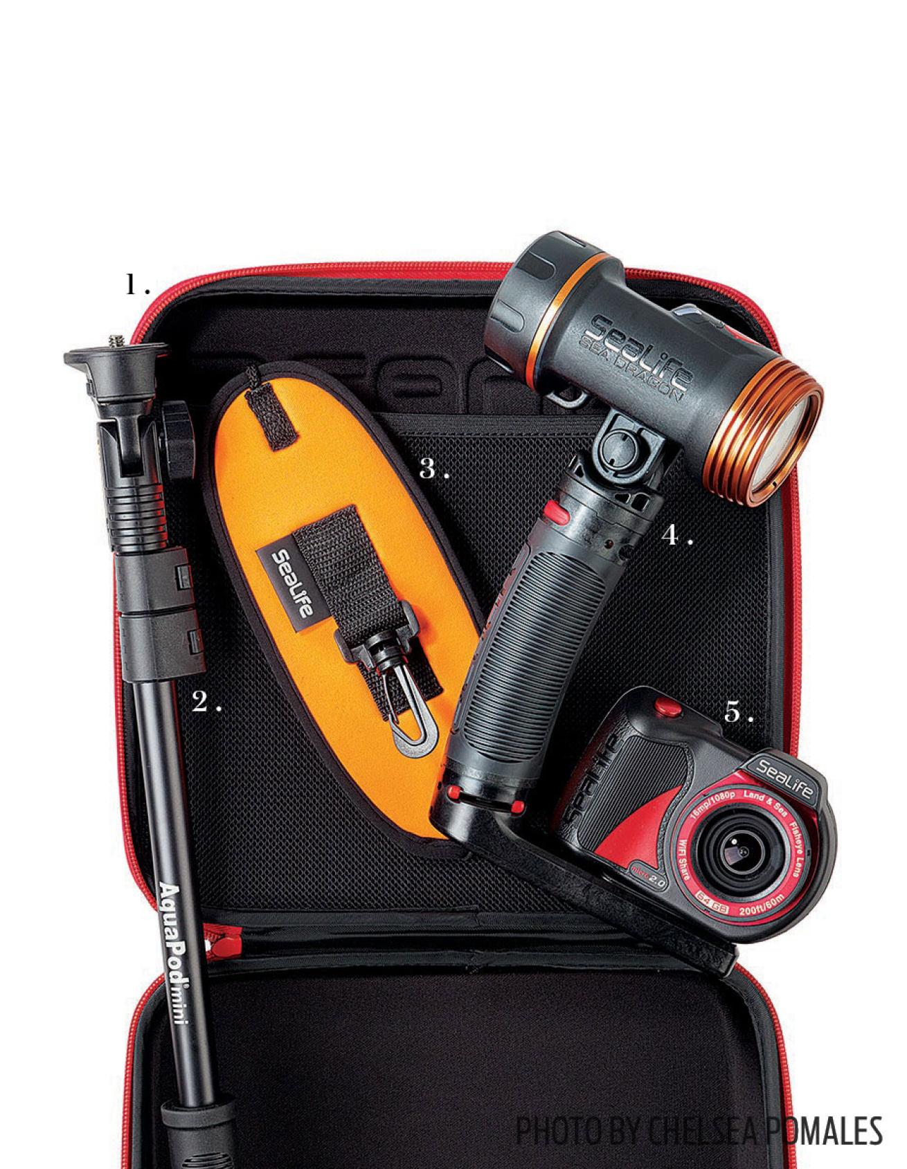 Underwater camera gear for scuba divers that want to try underwater photography.