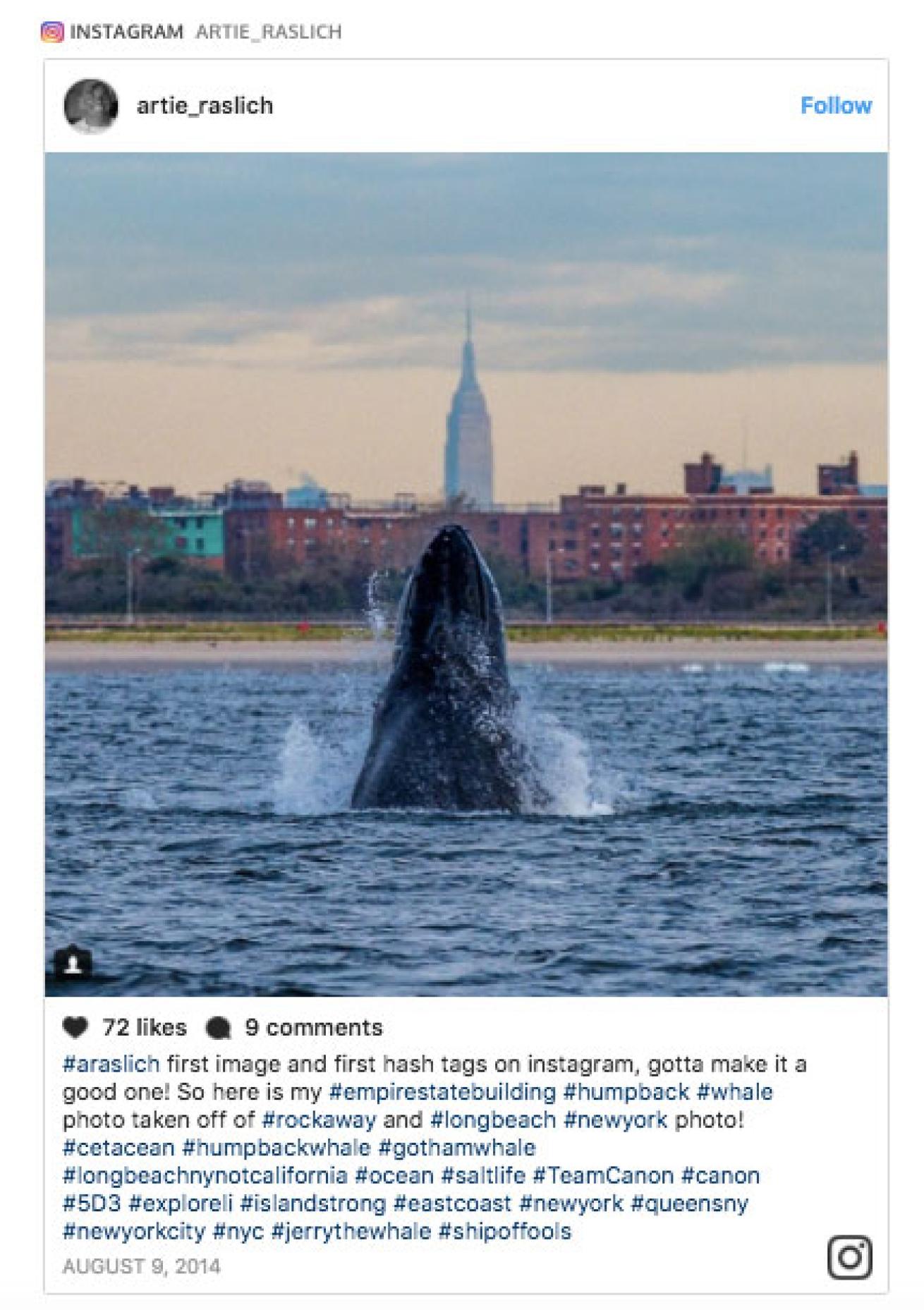 humpback whale and Empire State Building Instagram post
