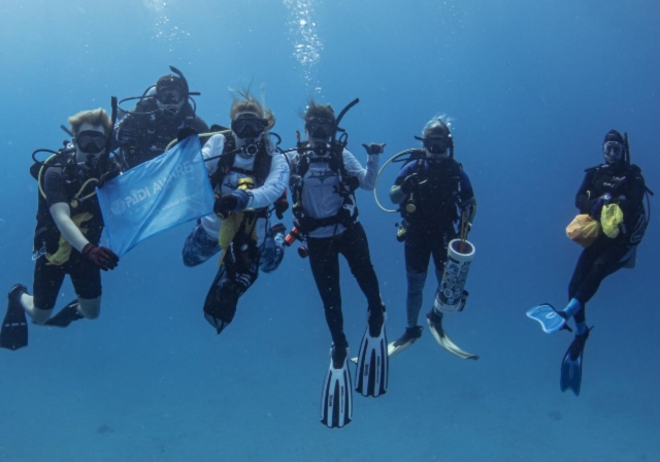 A group of scuba divers in the water
