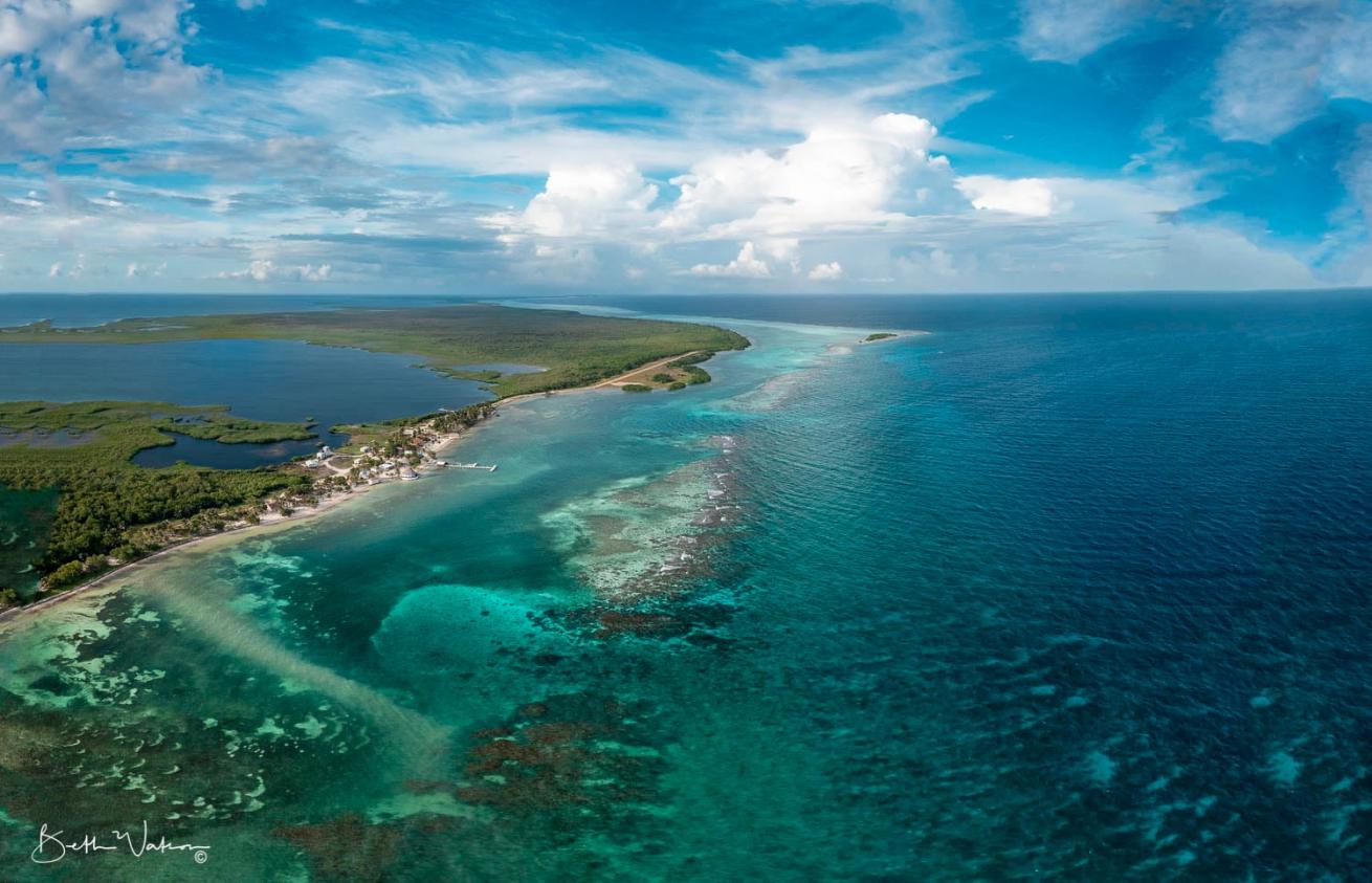 blackbird caye resort