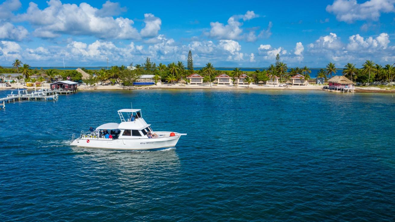 blackbird caye resort