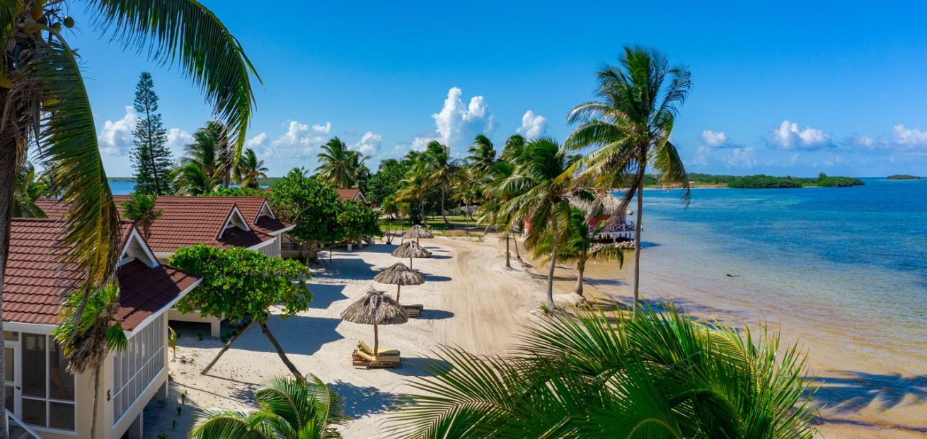 blackbird caye resort