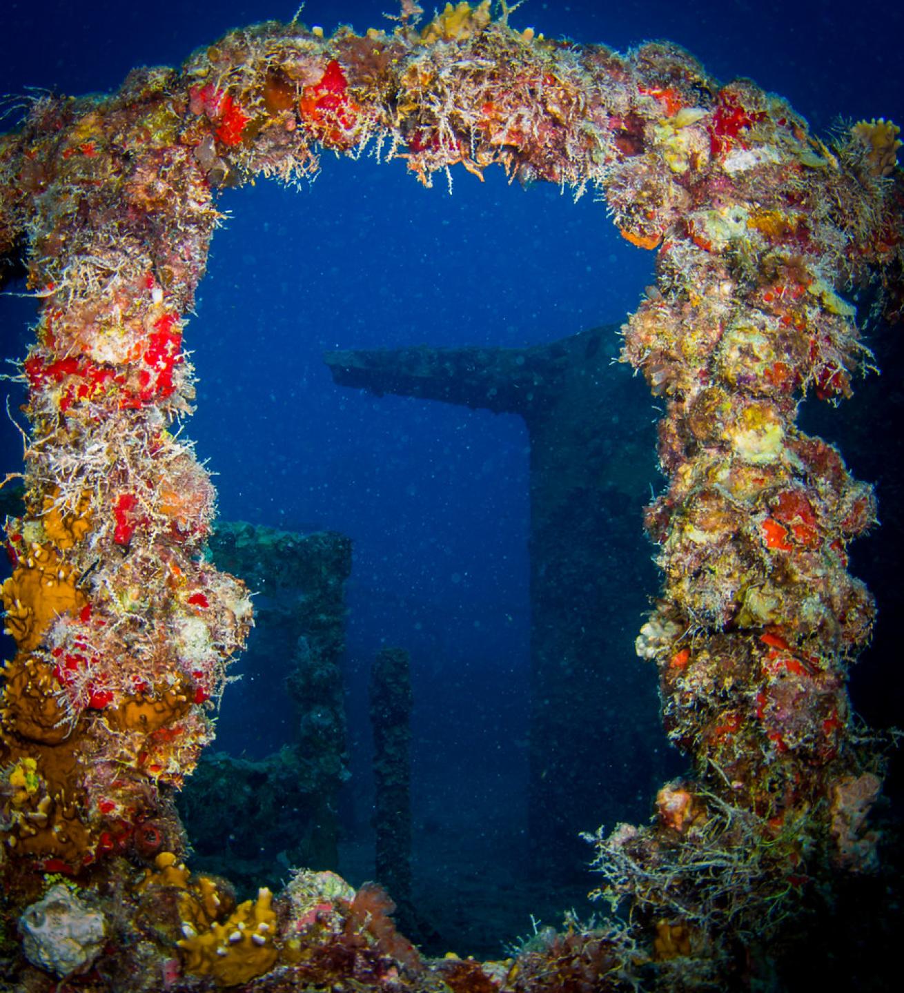 an underwater photo of the Spiegel Grove