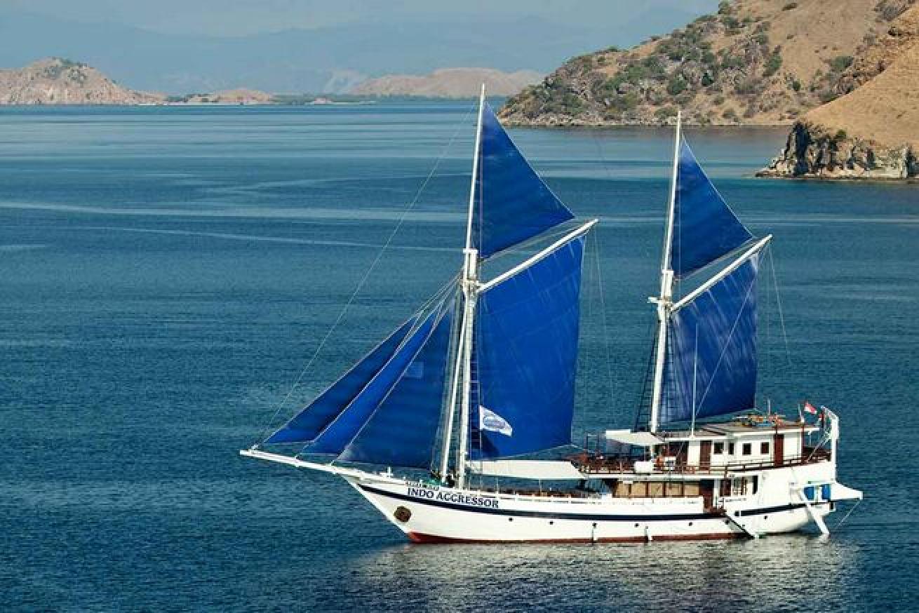 indo aggressor scuba diving liveaboard
