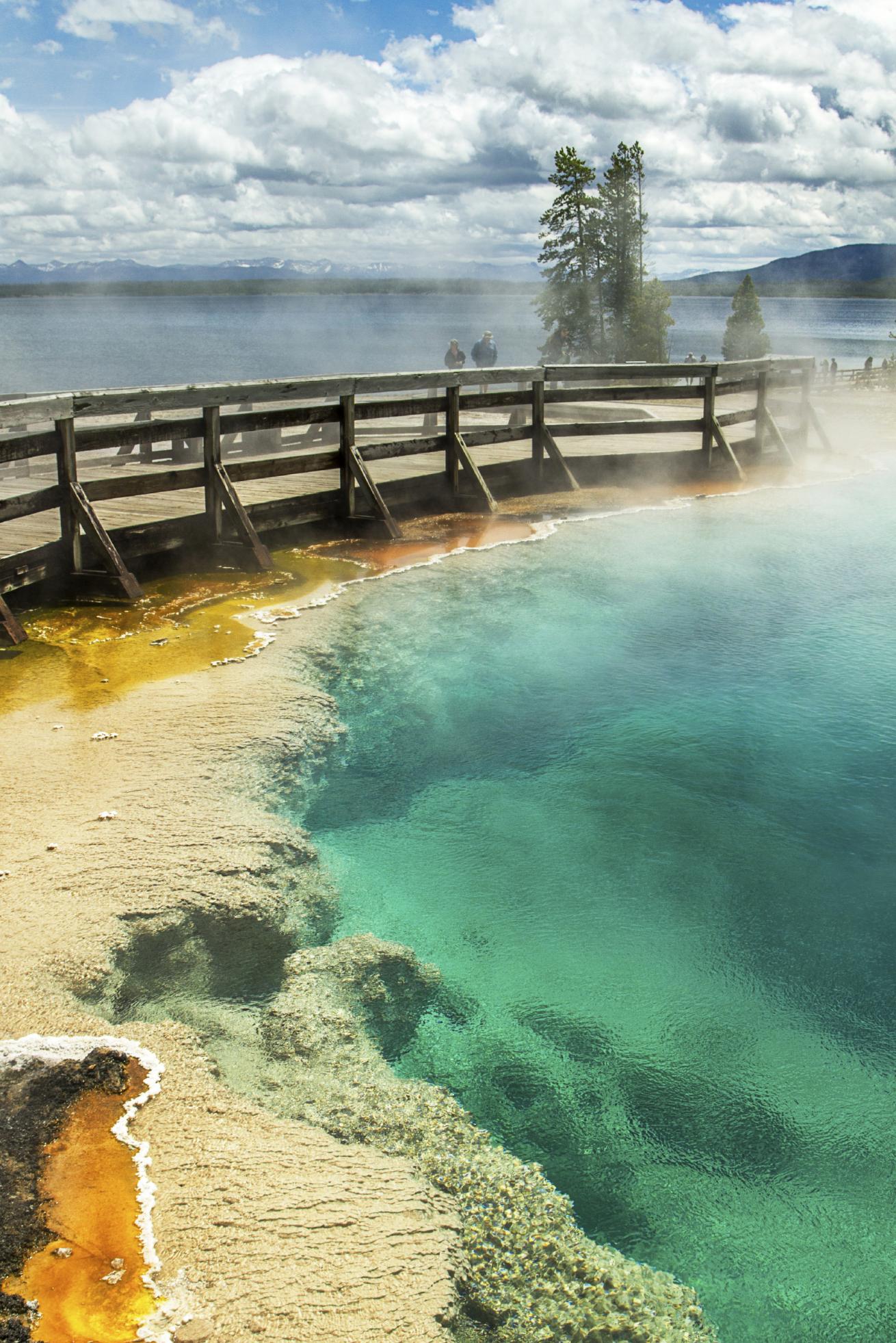 yellowstone national park