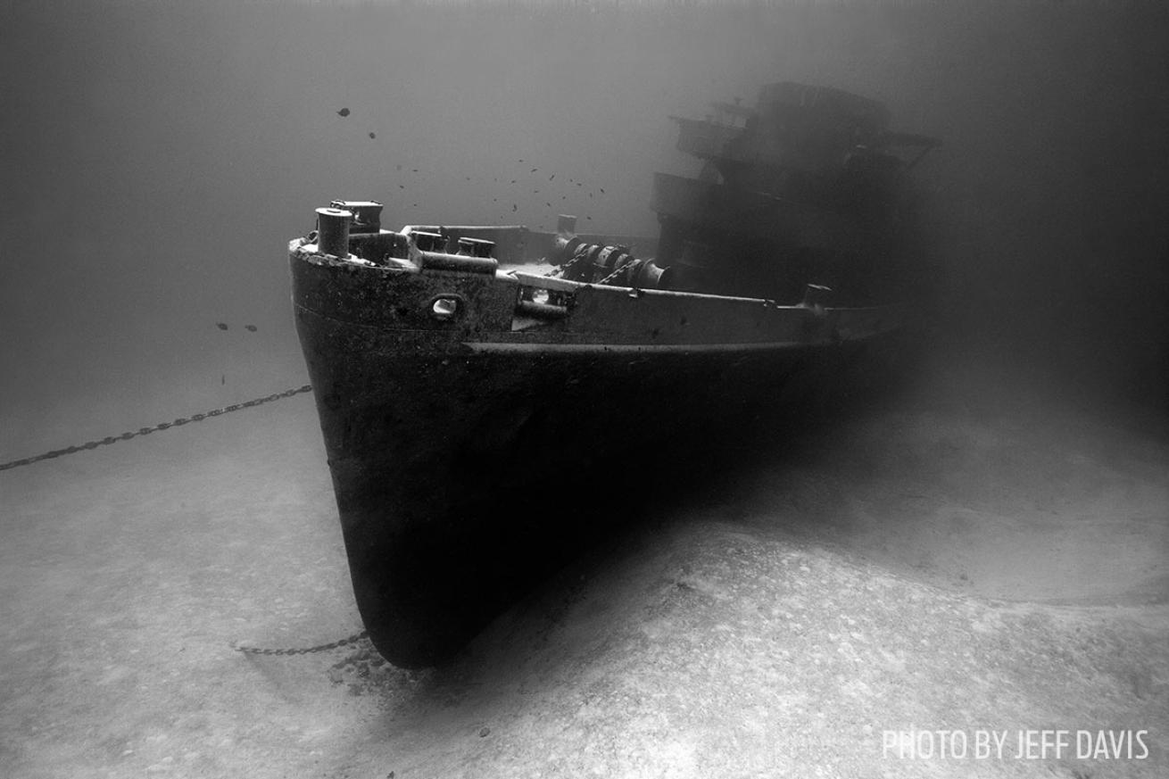 kittiwake wreck