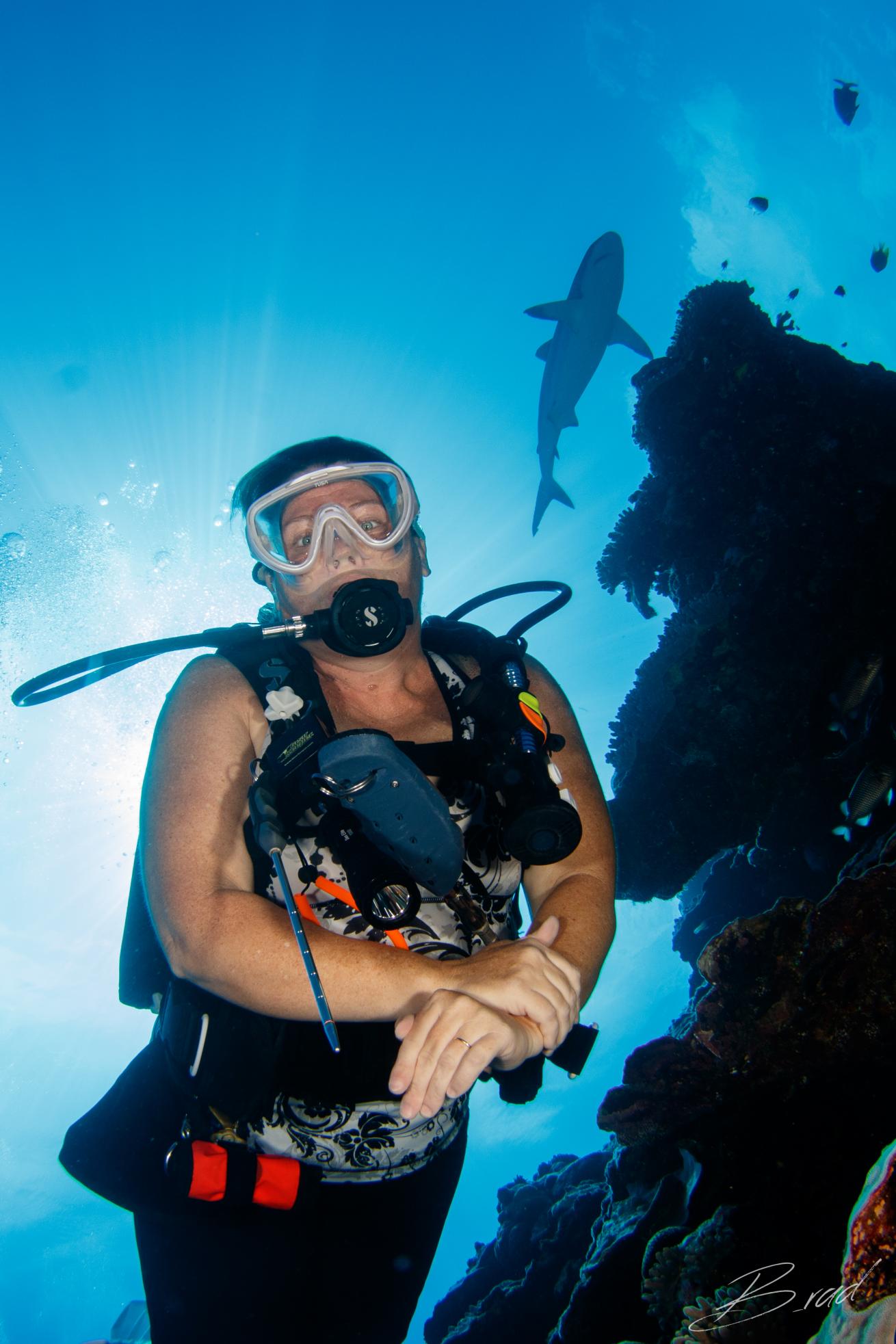 shark yap scuba diving