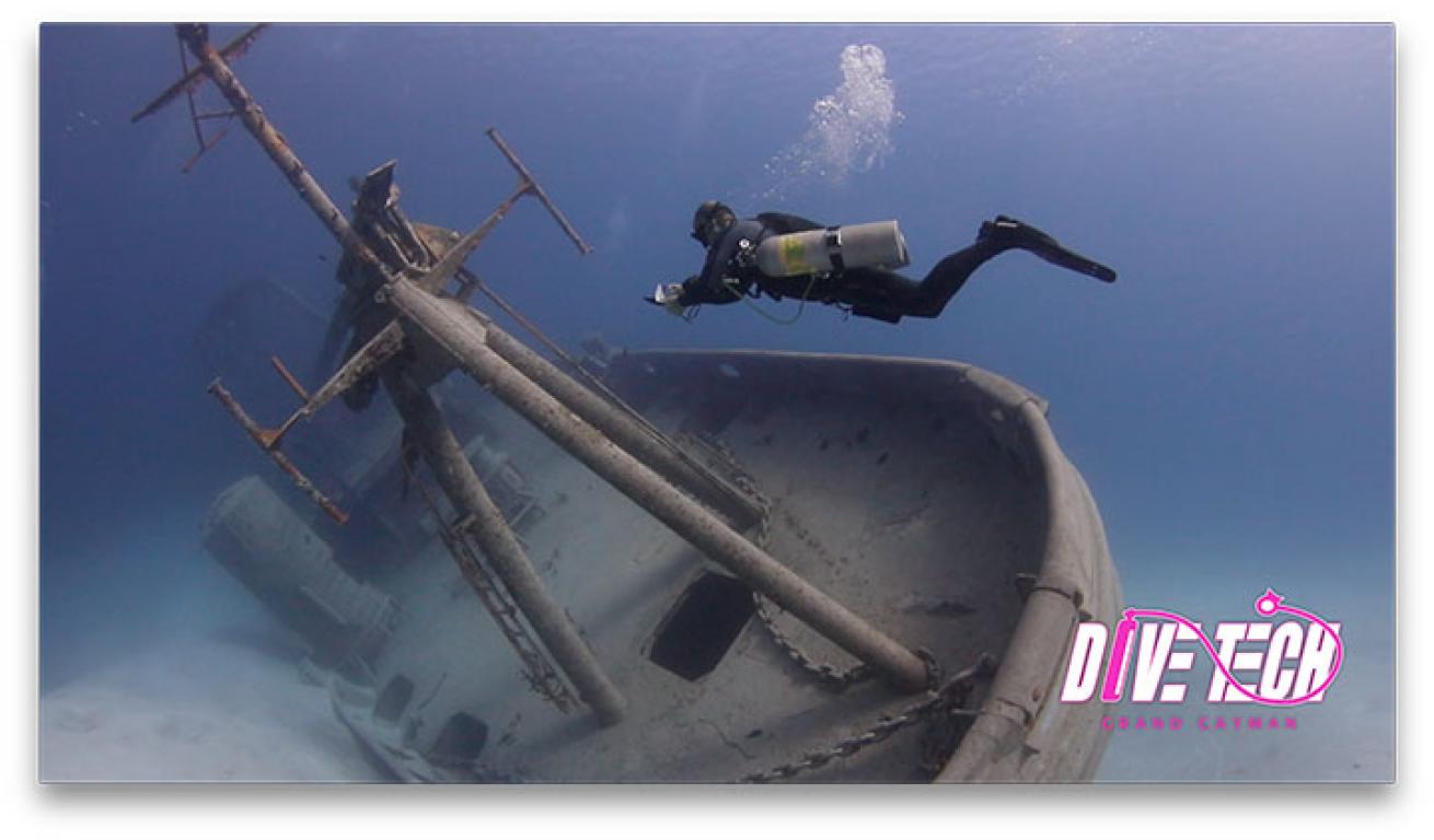 Kittiwake being assessed by divers