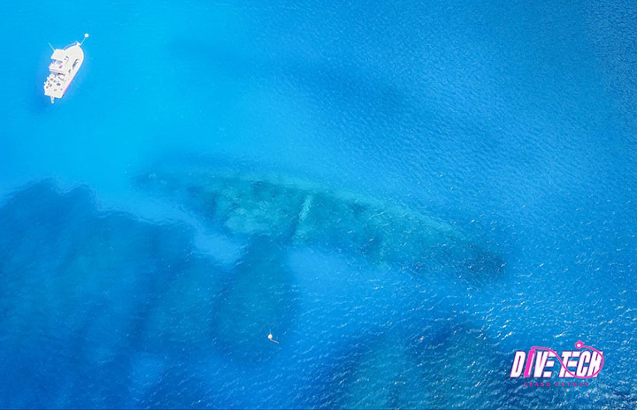 Kittiwake aerial