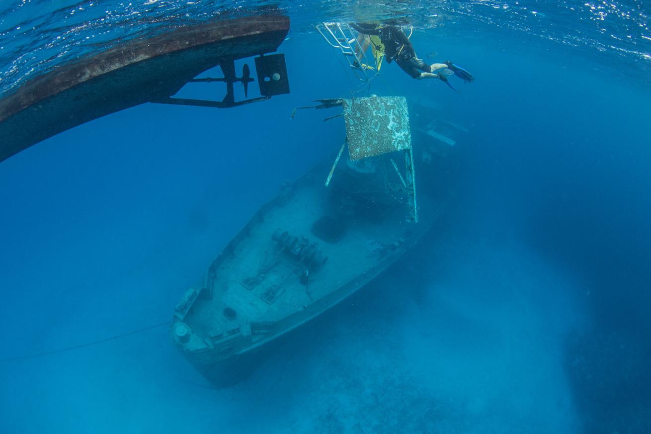 removing the panel; overview of Kittiwake