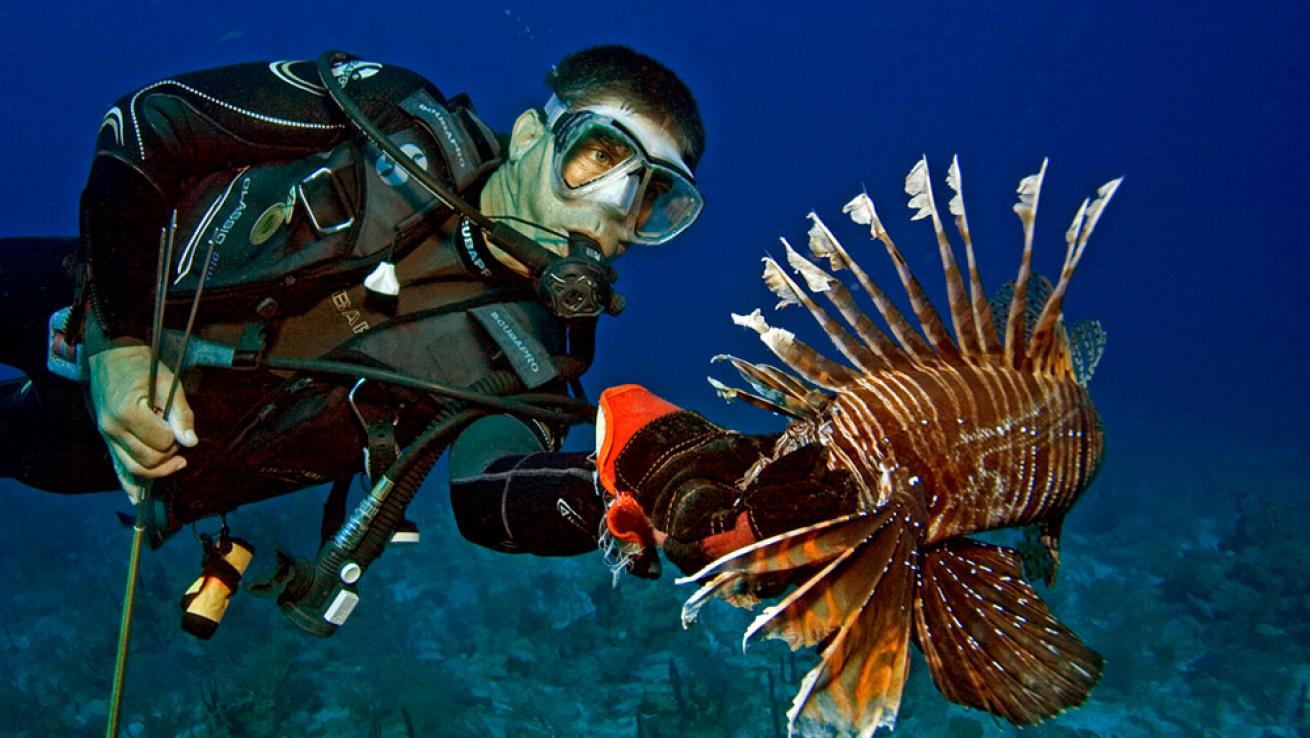 reef lionfish derby