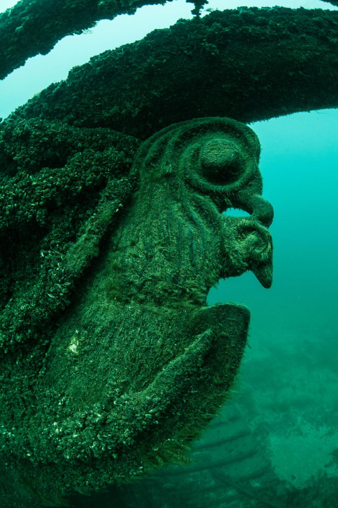 Lake Michigan Shipwreck
