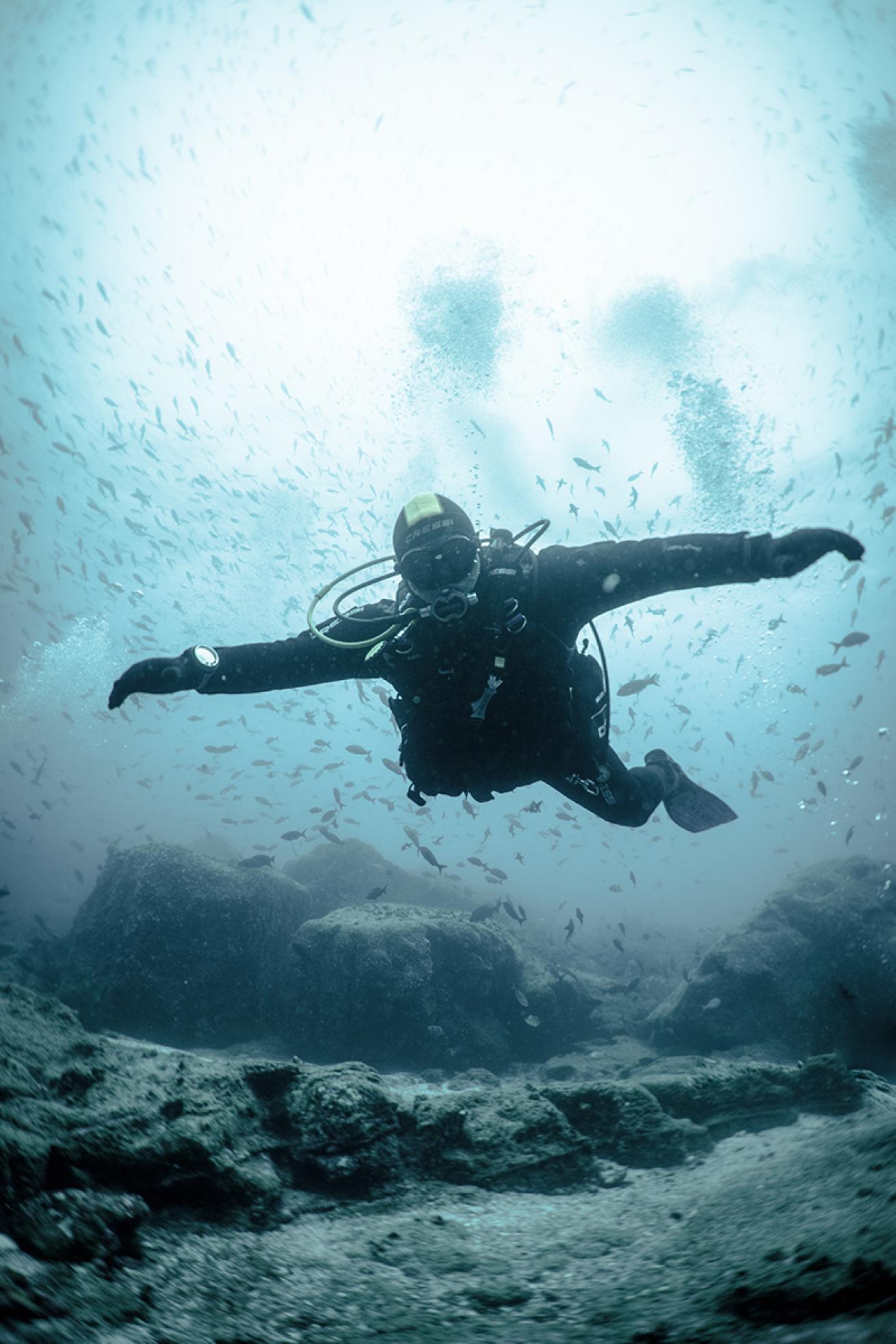 galapagos islands scuba diving