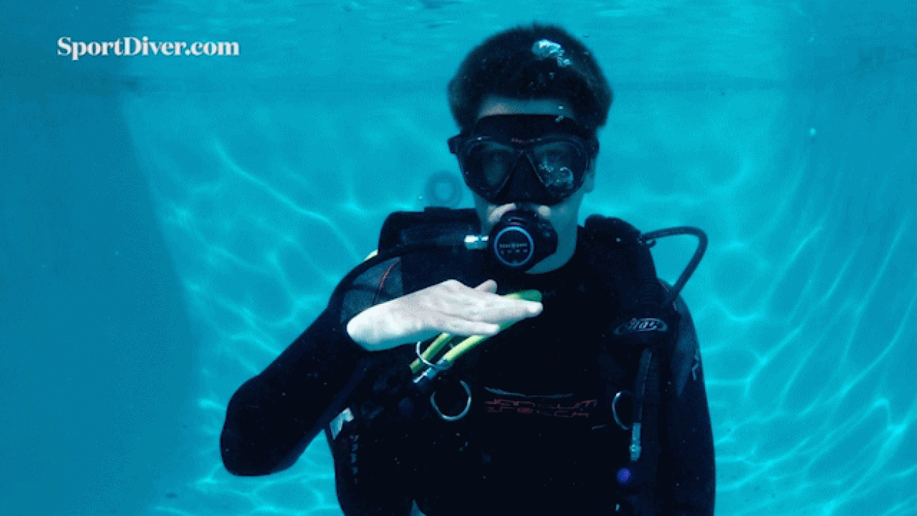 scuba diving hand signals Level off