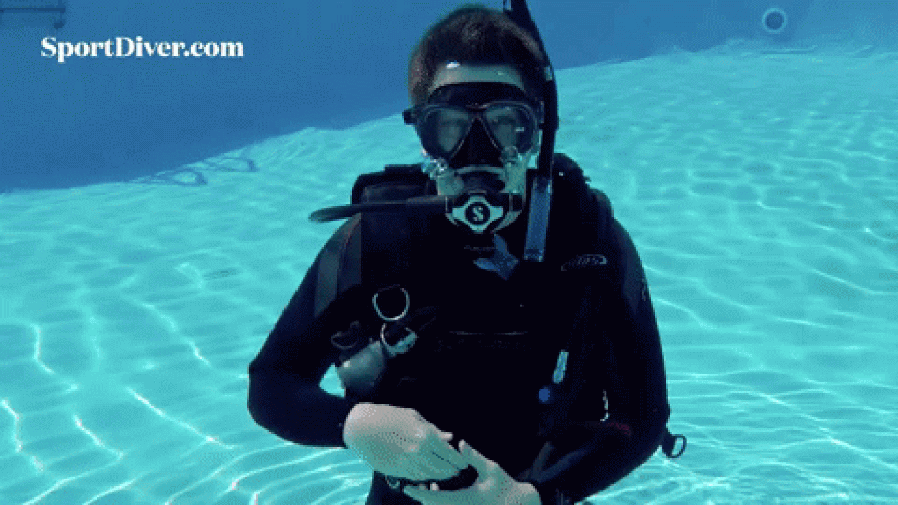 scuba hand signals funny