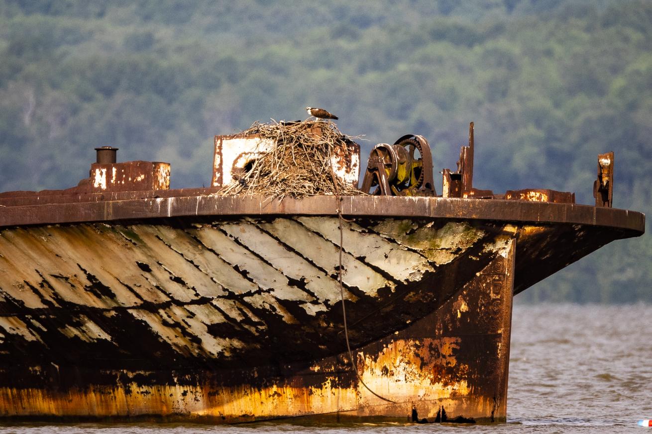 Mallows Bay-Potomac River National Marine Sanctuary