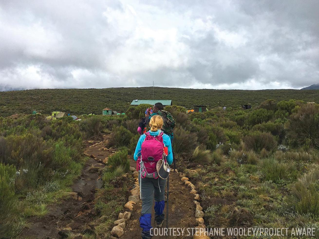 ocean conservation climb Mount Kilimanjaro