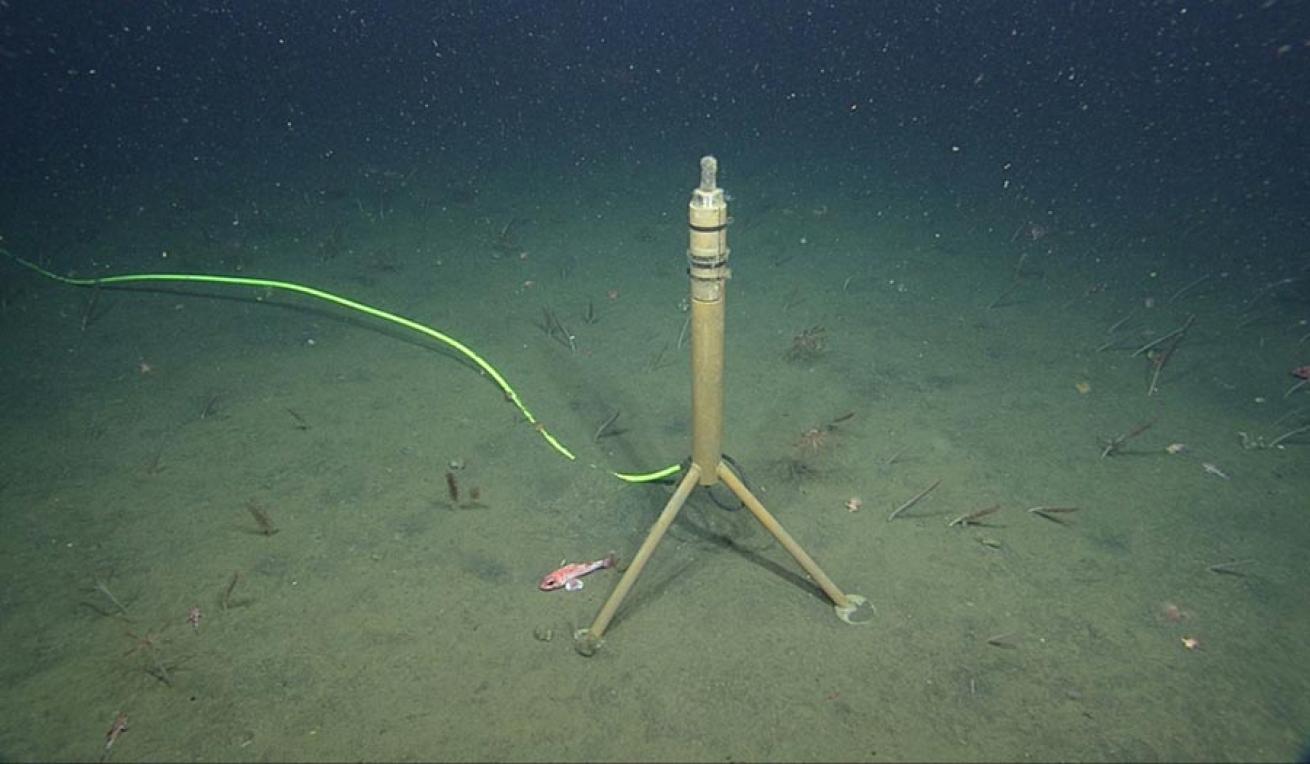 MARS hydrophone