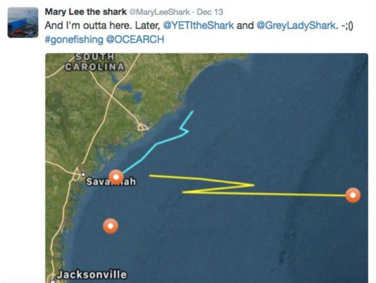 Mary Lee Tweet