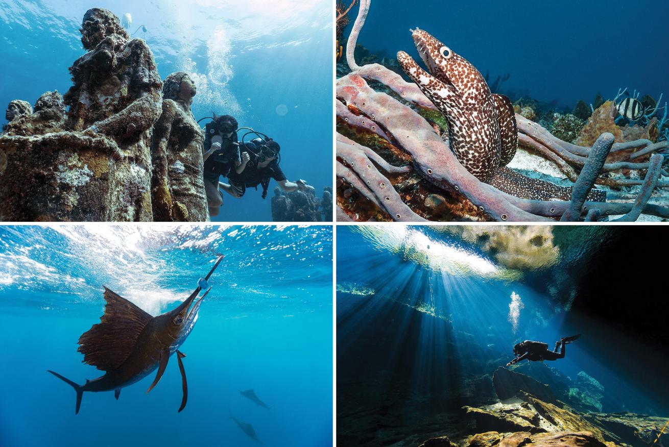 Mexico scuba diving