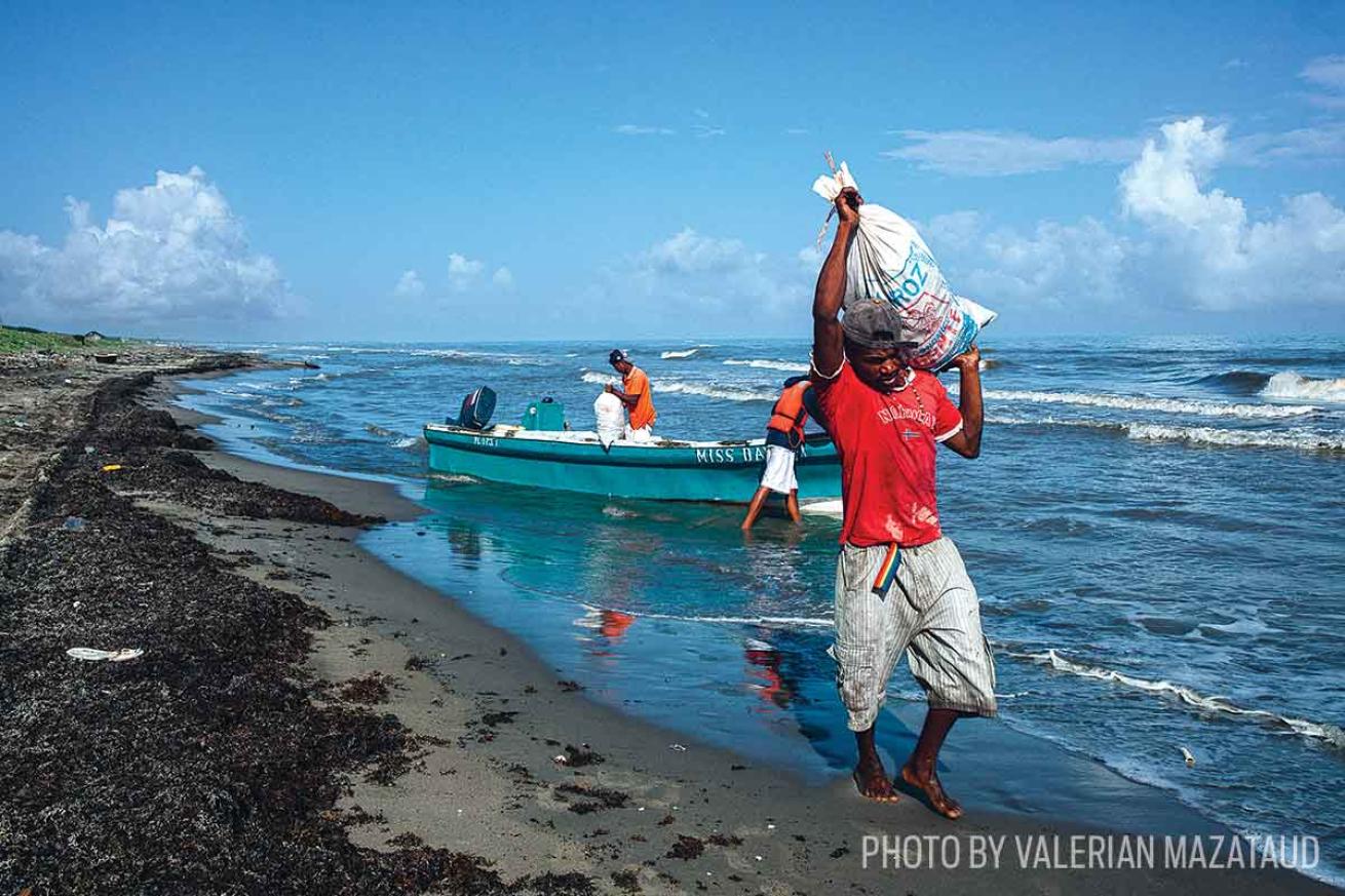 sea cucumber fishing honduras