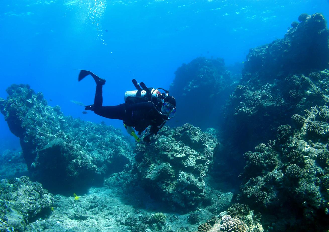 wall dive maui hawaii