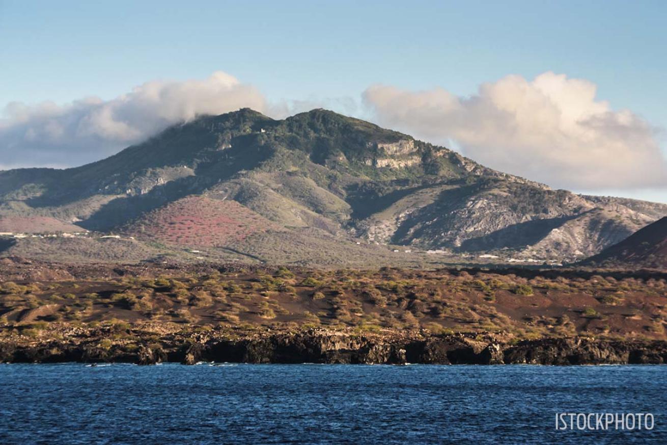 Ascension Islands new marine reserve