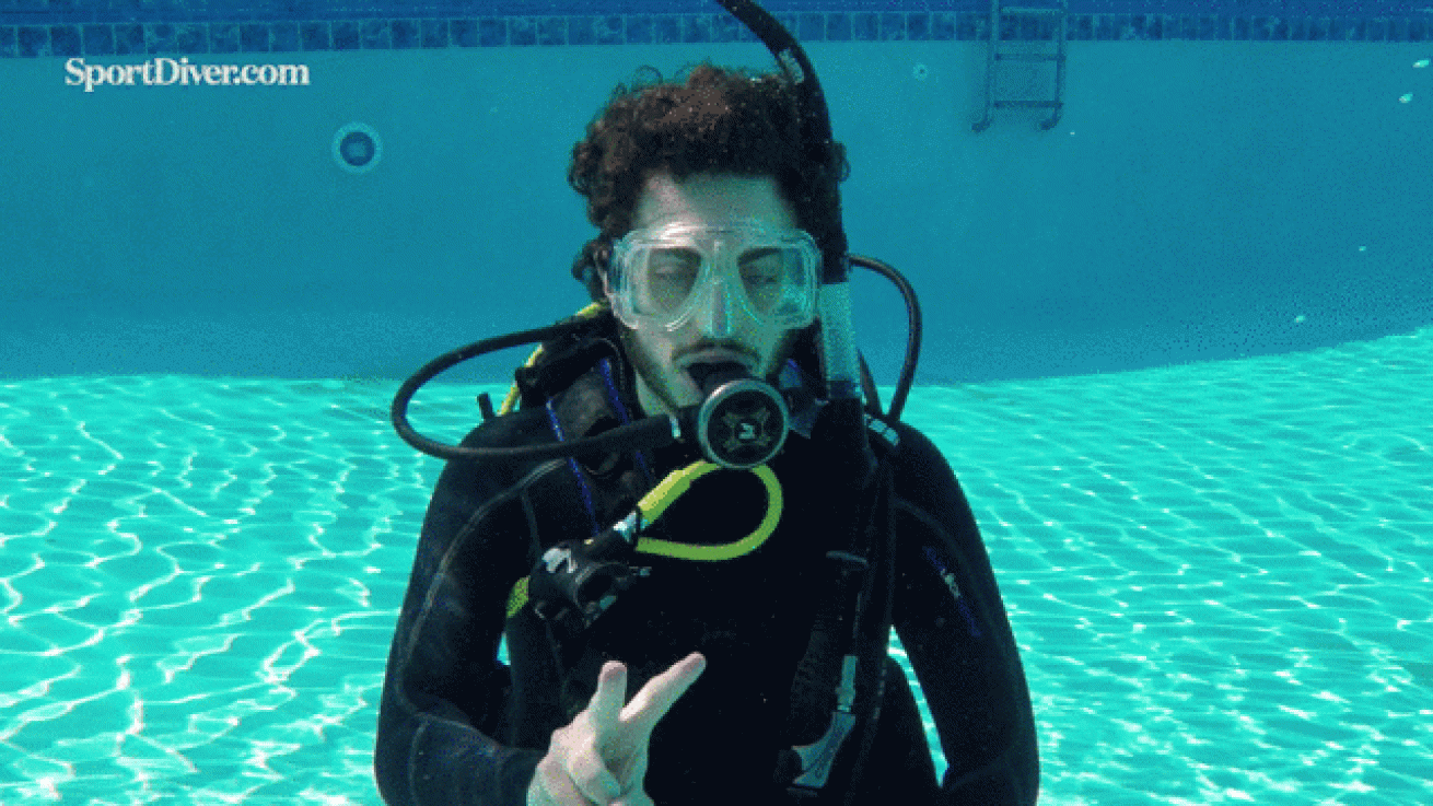 Nudibranch hand signal