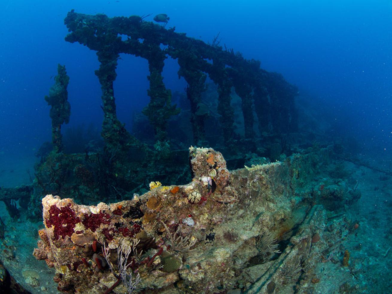 the Rhone wreck