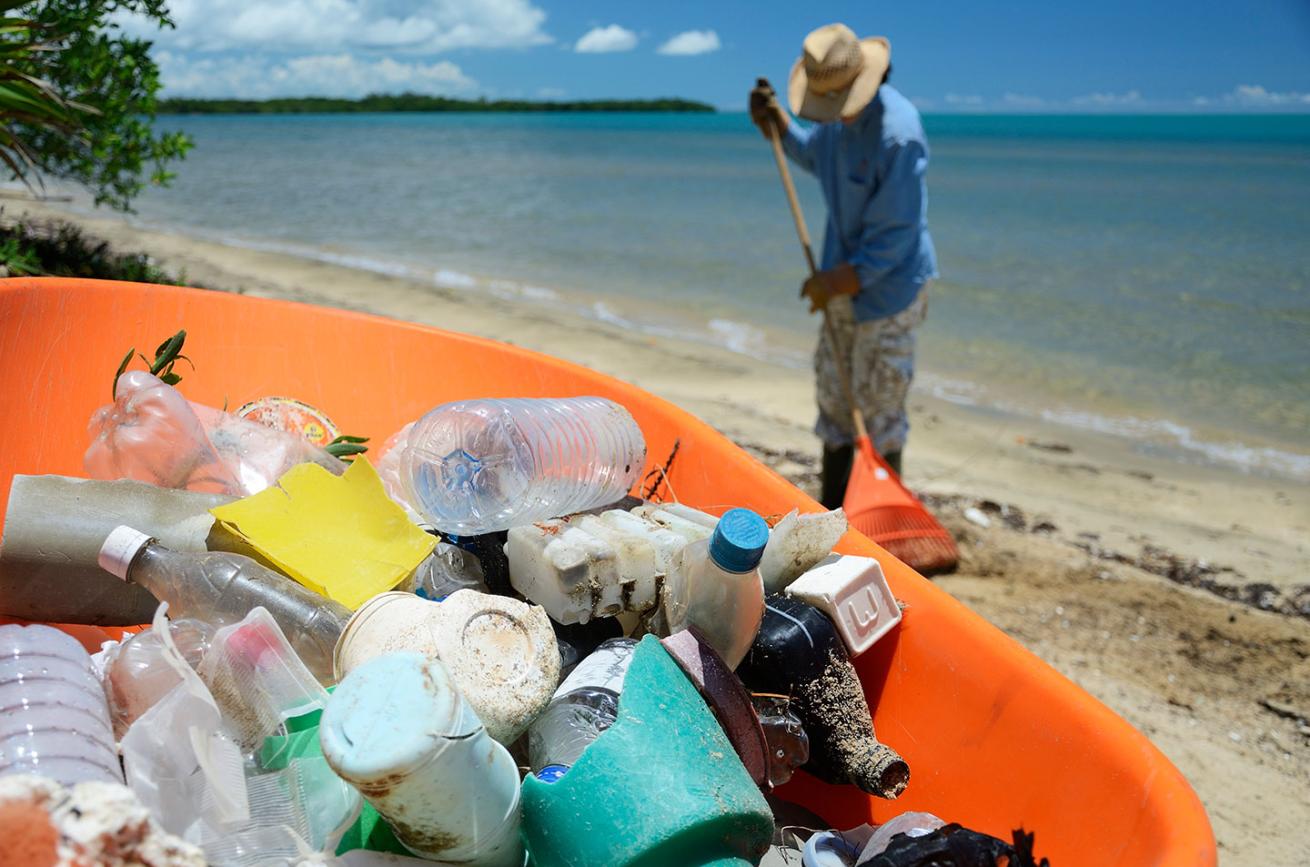 beach cleanup