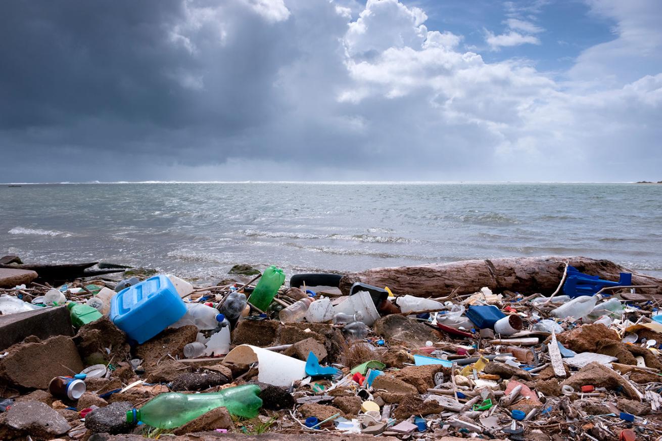 beach debris