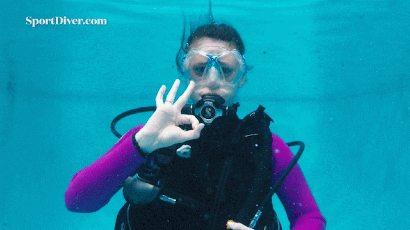 scuba diving hand signals ok