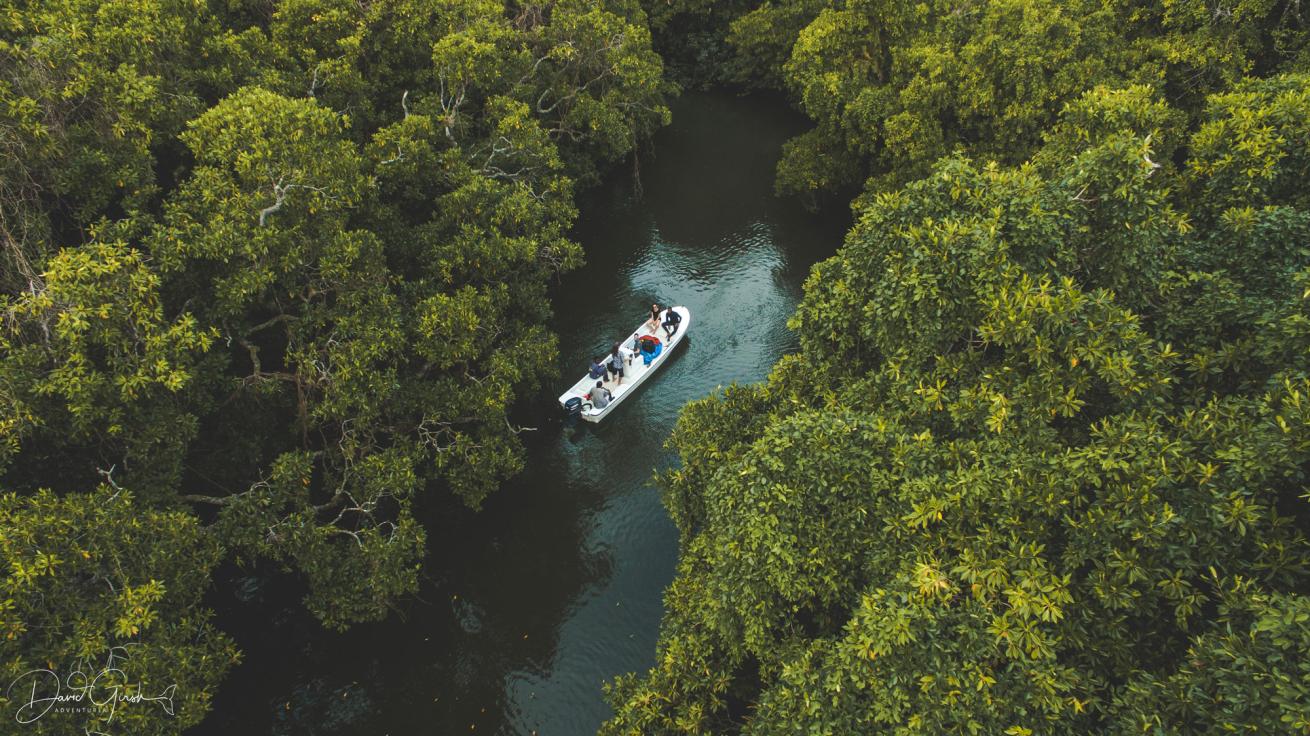 Pacific Blue Foundation Mangrove Mapping