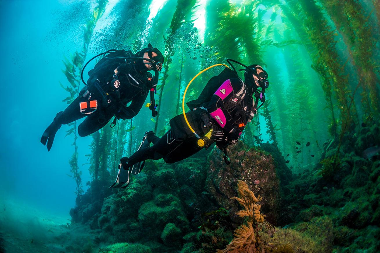 scuba diving