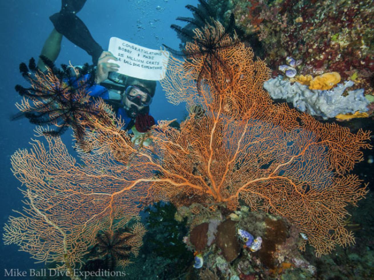 Celebrating on the Great Barrier Reef