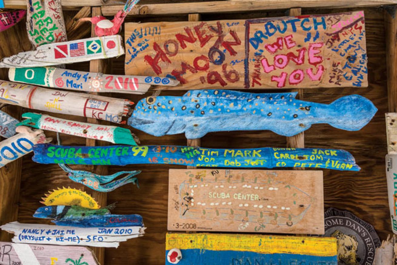 Driftwood painted by visiting divers in the bar at Little Cayman Beach Resort