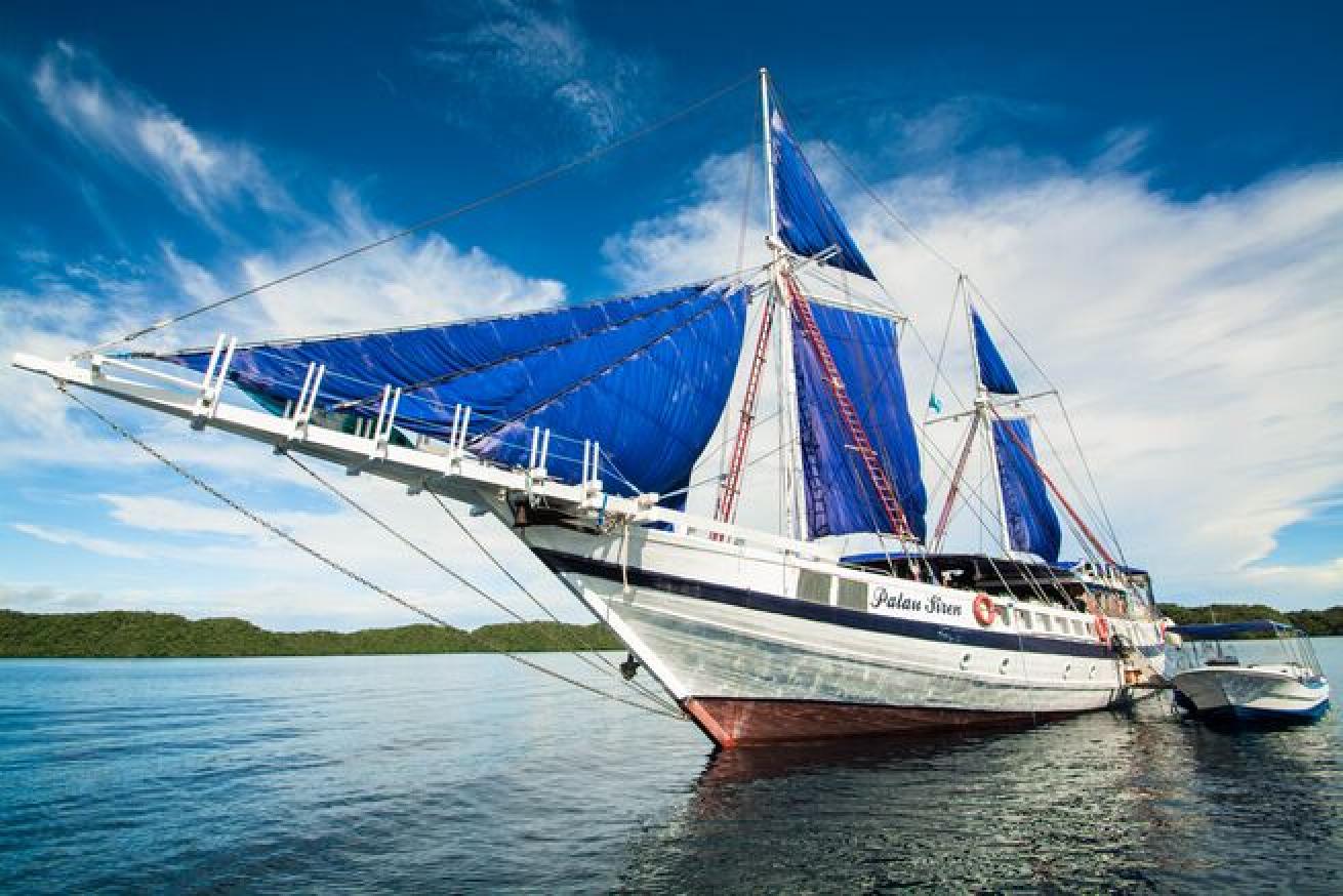 Palau Siren scuba diving liveaboard