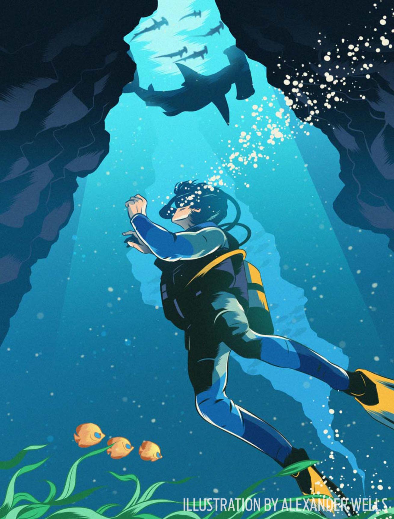 scuba diving shark panic illustration