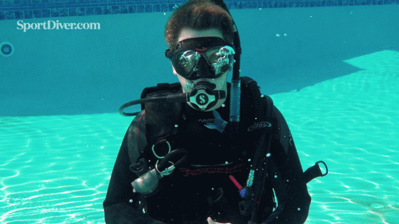 scuba hand signals panic