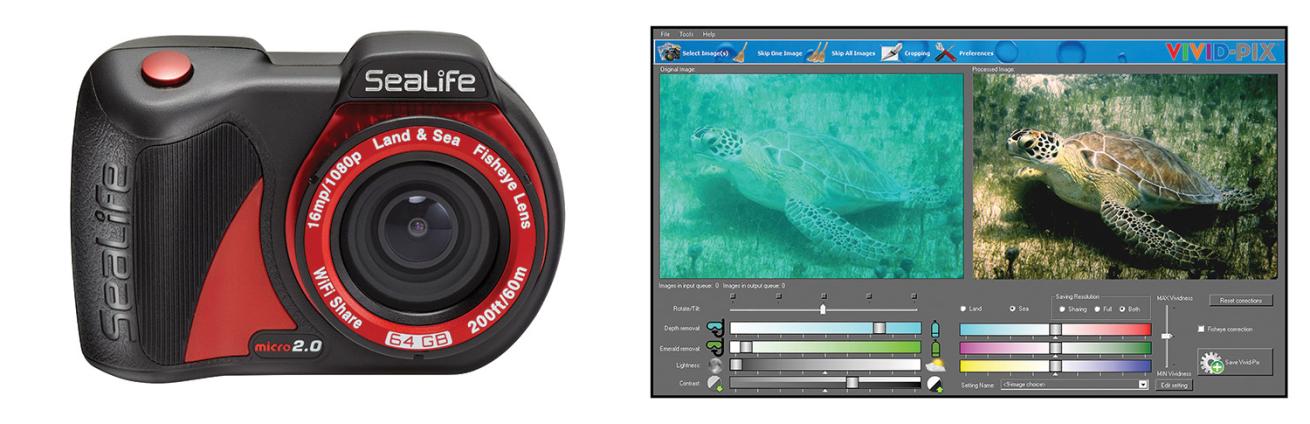 Five Tips To Get Started In Underwater Photography