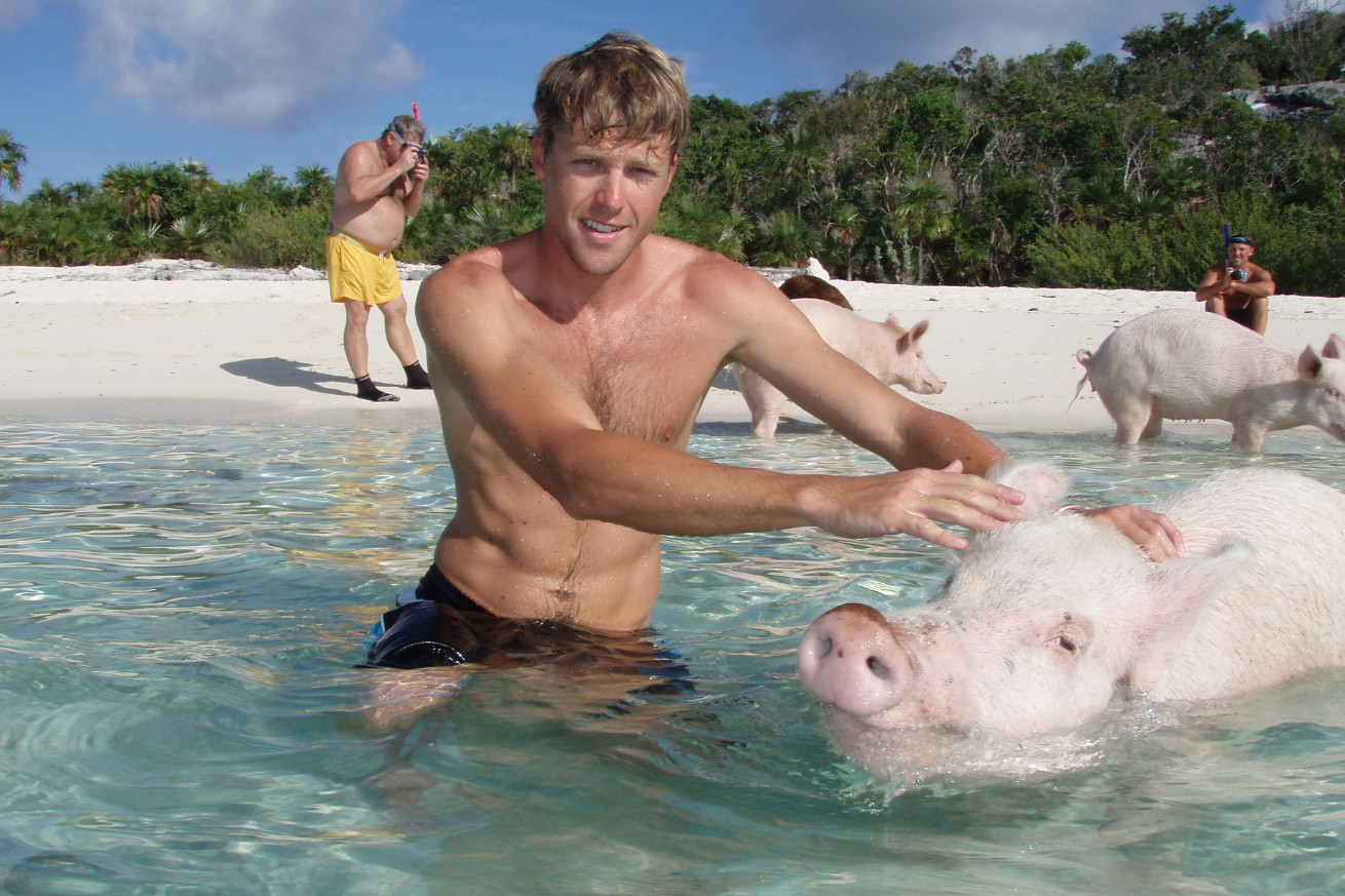 Man with swimming pig