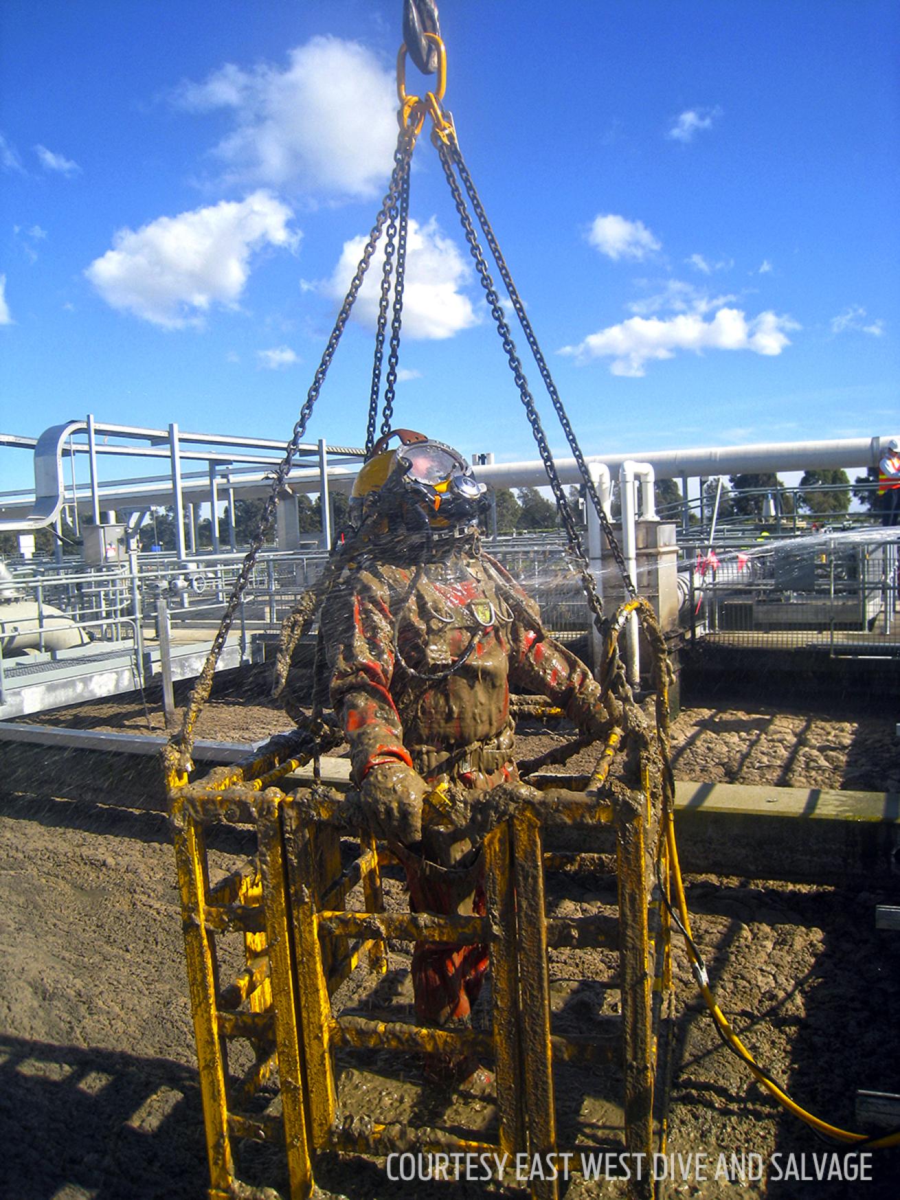 poop diver australia