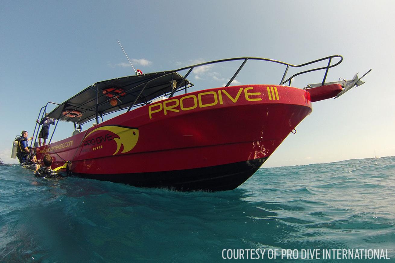 Pro Dive International Scuba Diving Resort