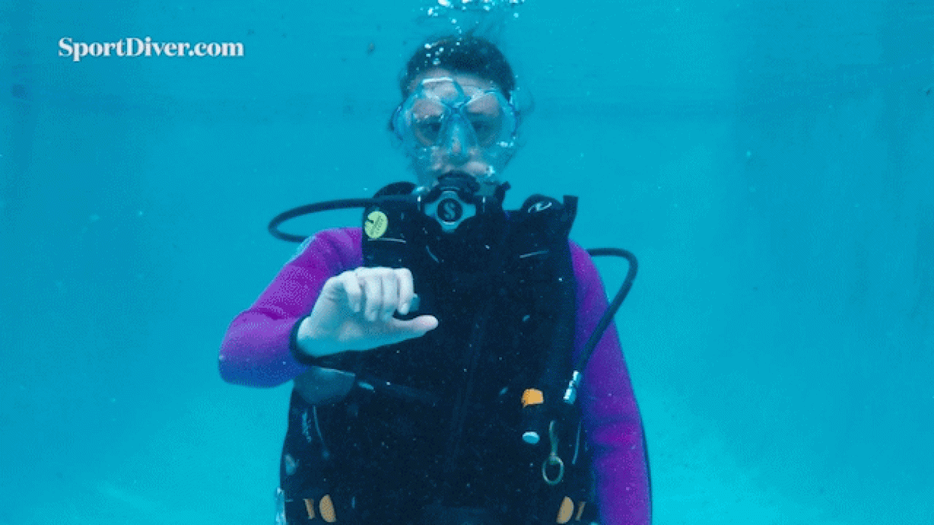 scuba diving hand signals Problem