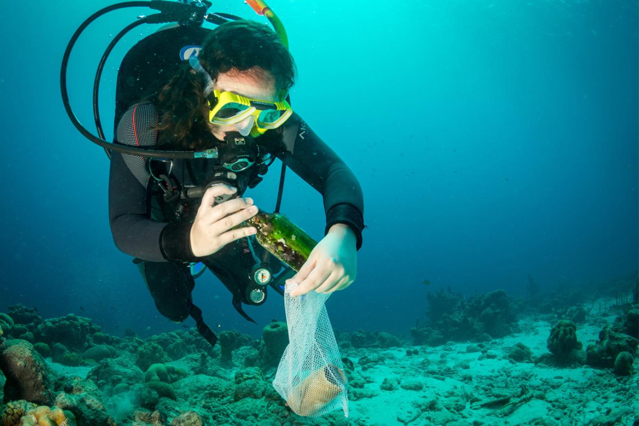 project aware dive against debris