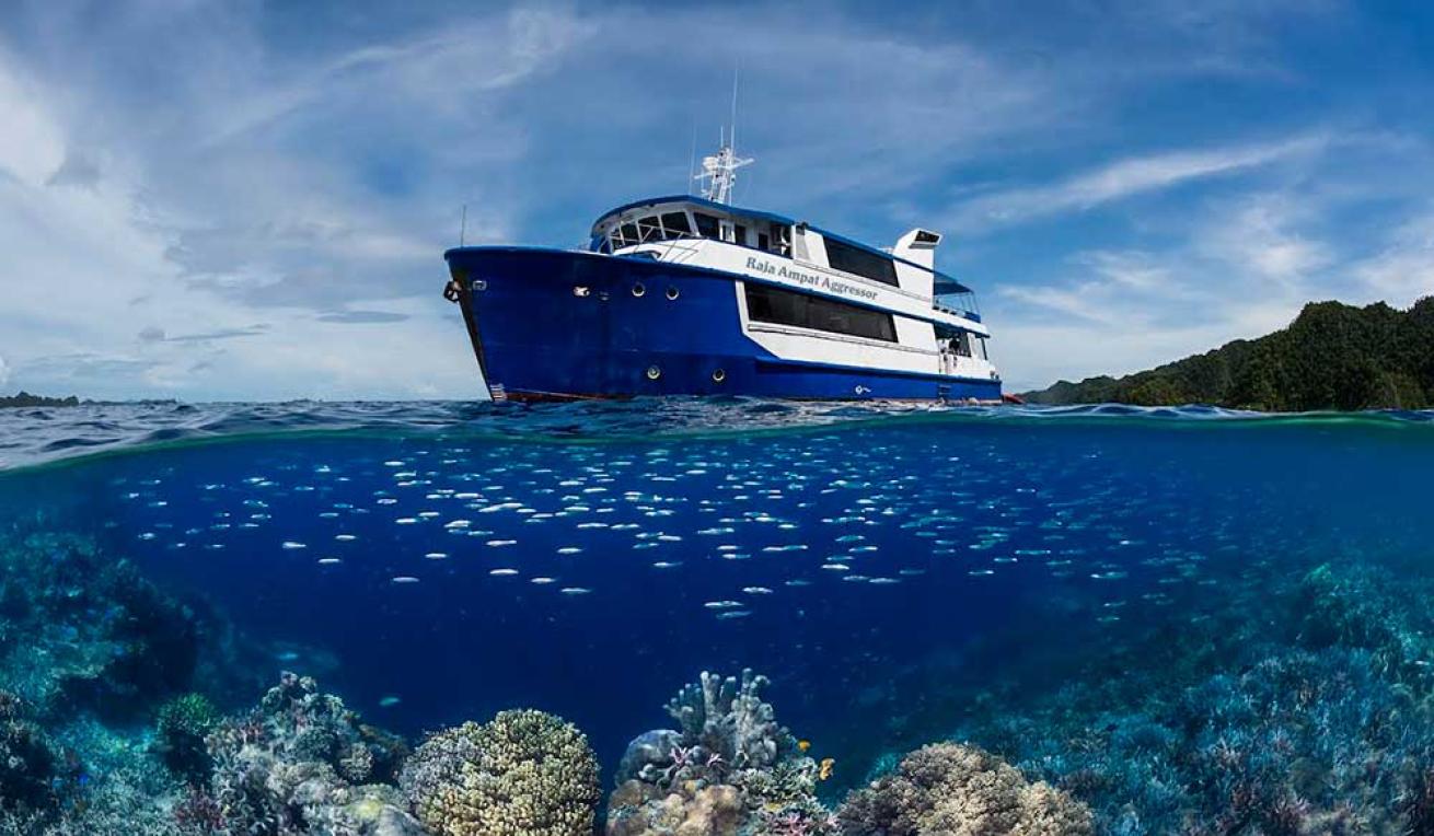 Raja Ampat Aggressor